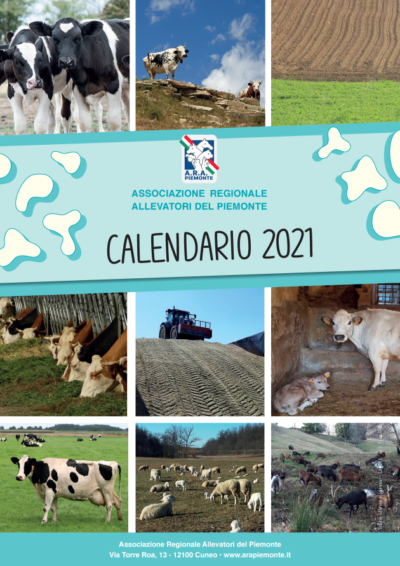 Calendario Arap 2021